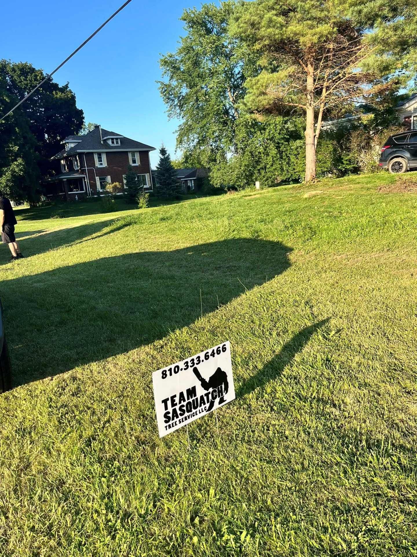 Lawn sign on a grassy hill reading “STOP STALIN” with a house and trees in the background