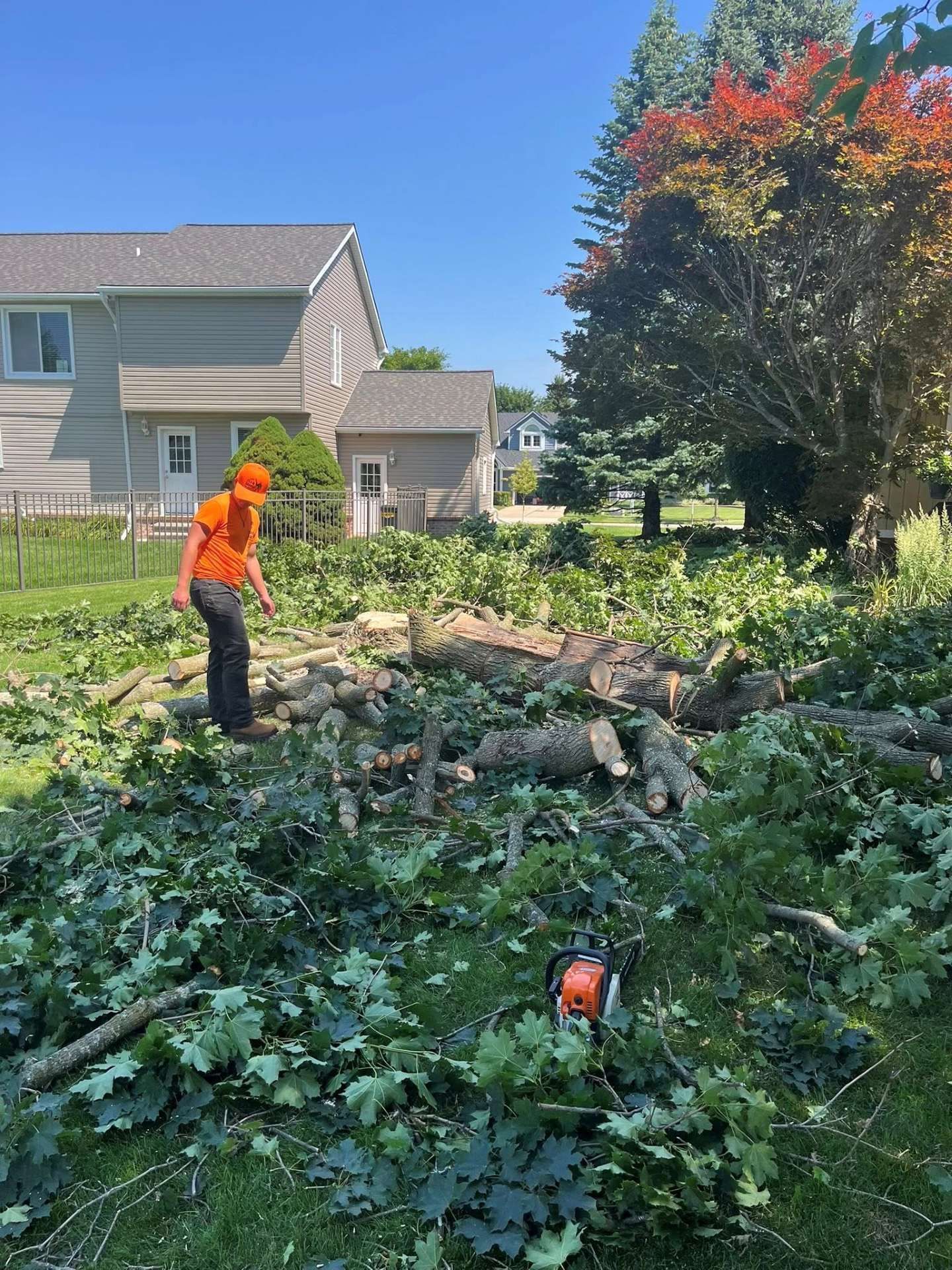 Worker in orange shirt clearing weeds and branches in a sunny suburban yard beside a house.