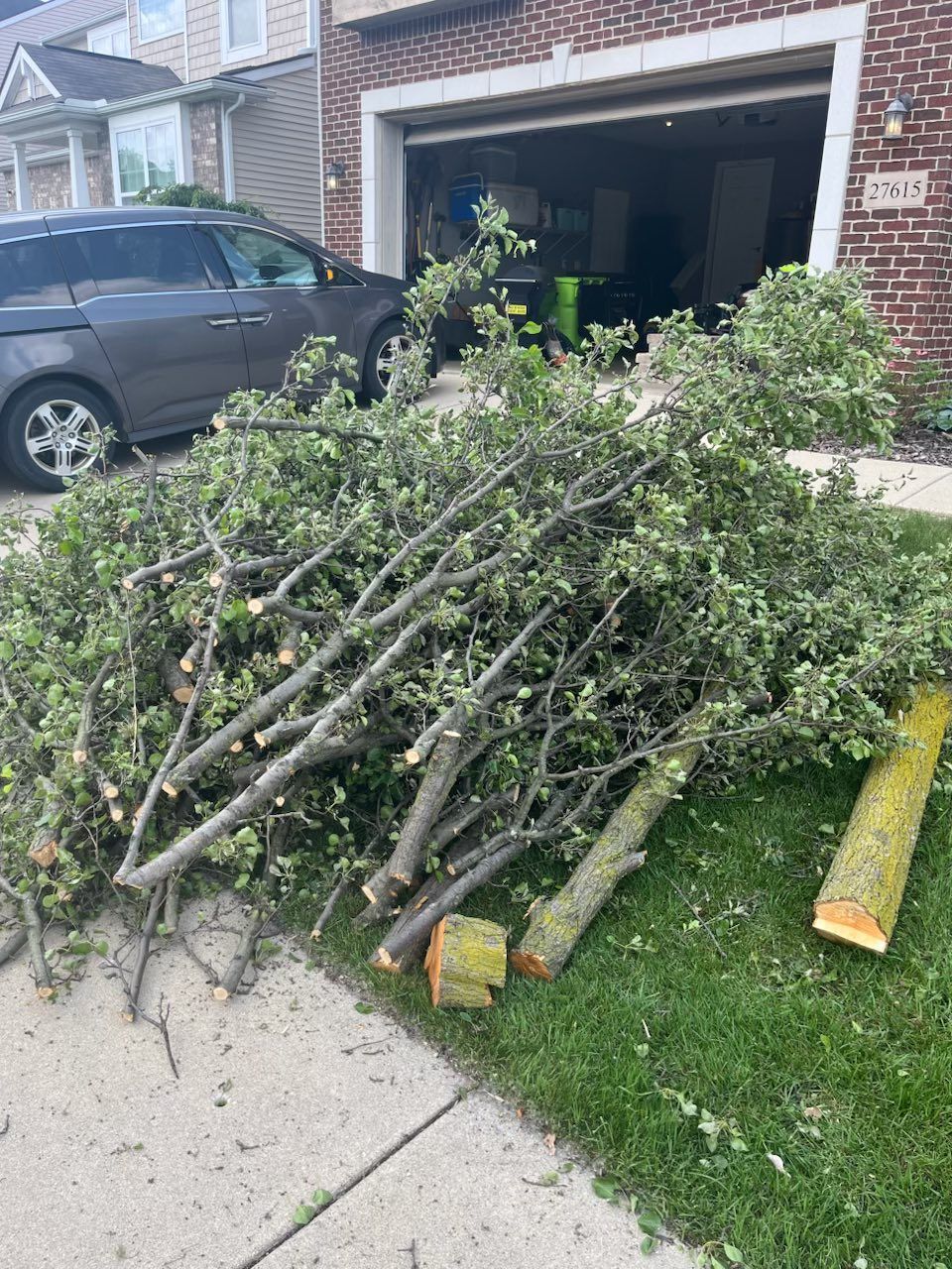 Cut tree branches piled on a driveway in front of an open garage and parked SUV.