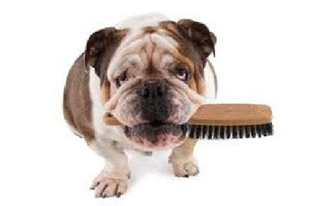 DR. HUERTA  - estética