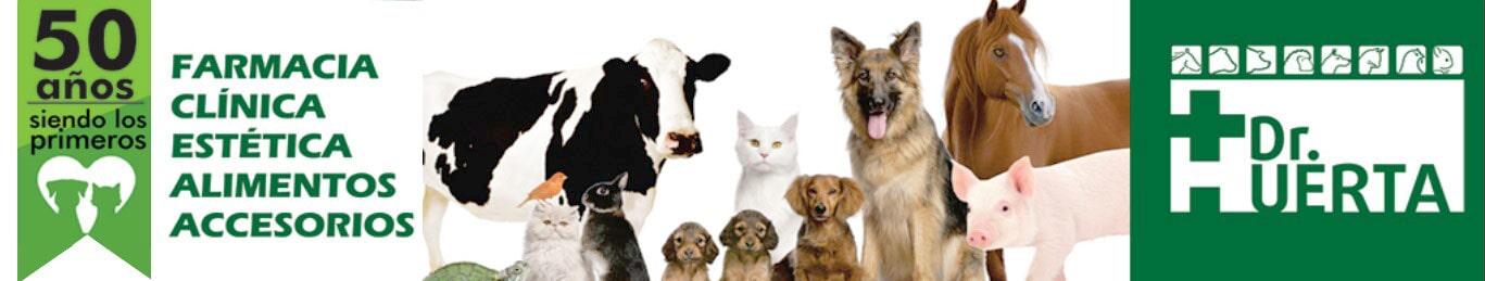 DR. HUERTA  - clínica