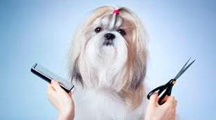 DR. HUERTA  - servicio a domicilio