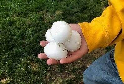 Hand  hailstones