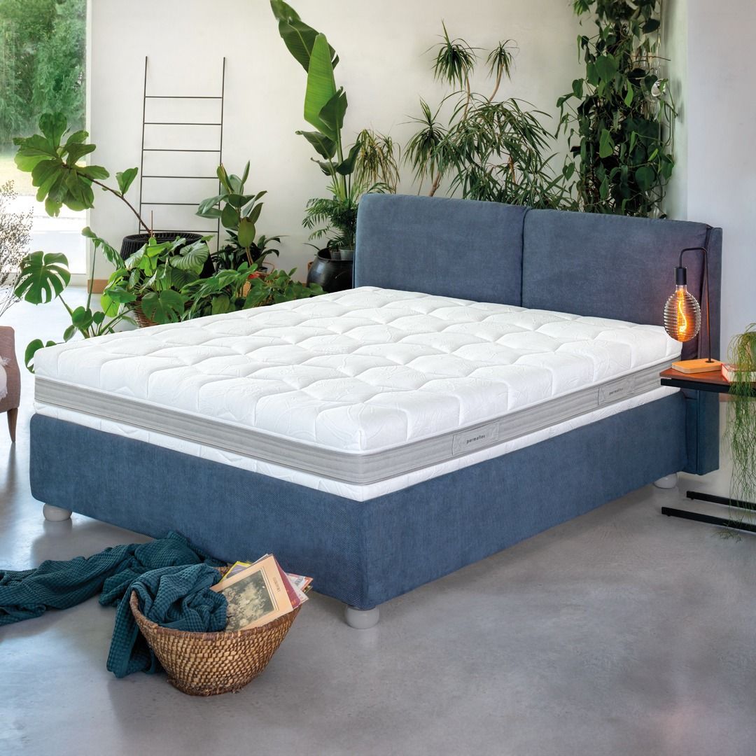 In una stanza soleggiata, ricca di diverse piante verdi da interno, si trova un letto imbottito di blu con uno spesso materasso bianco.