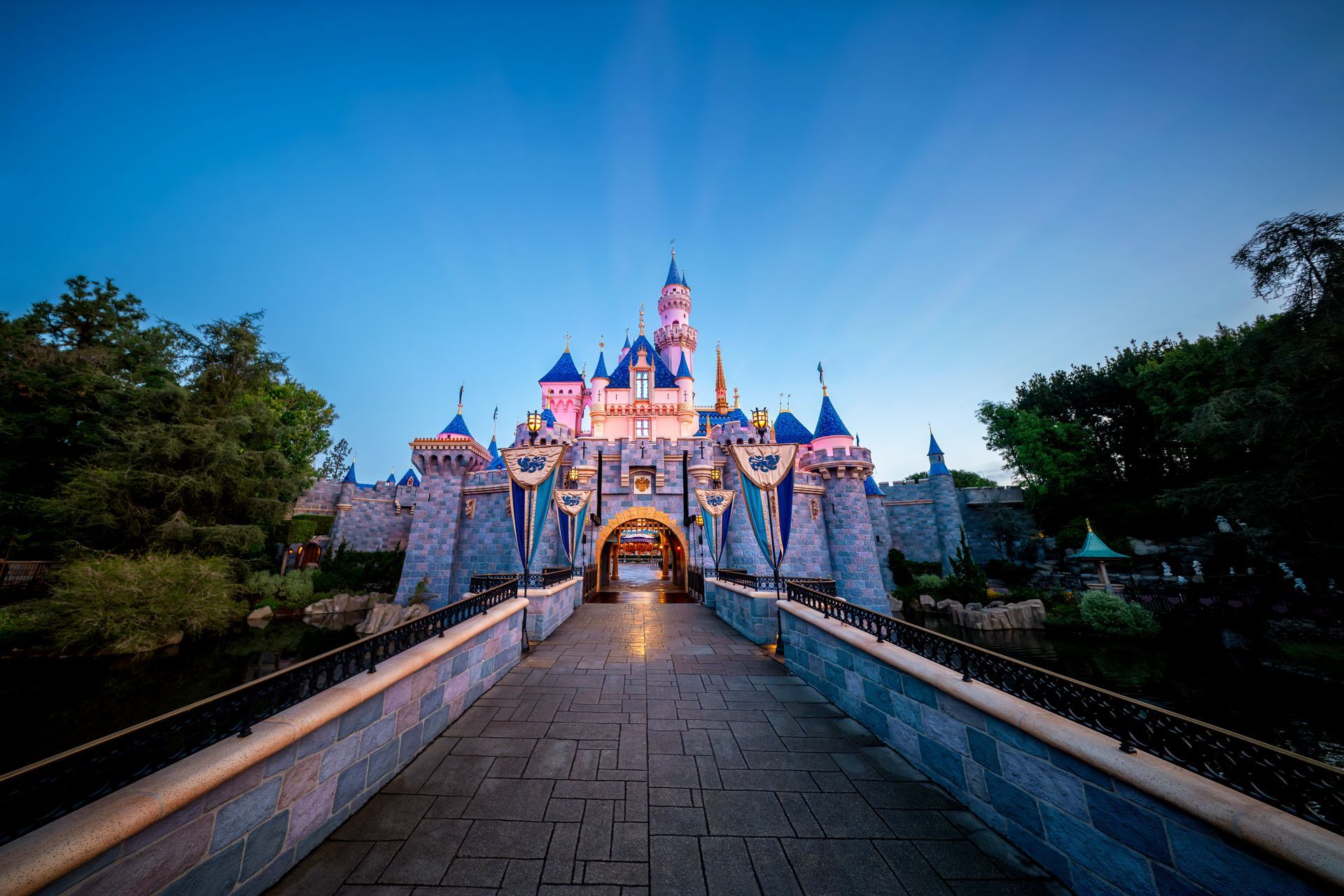 Disneyland Travel Agent