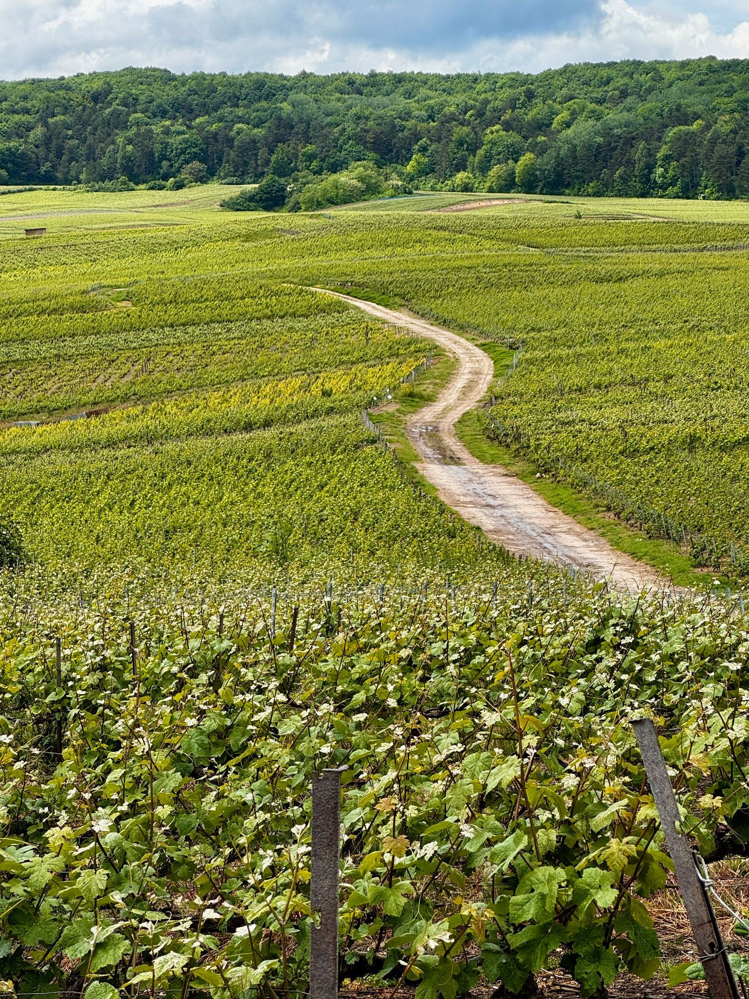 Champagne, France