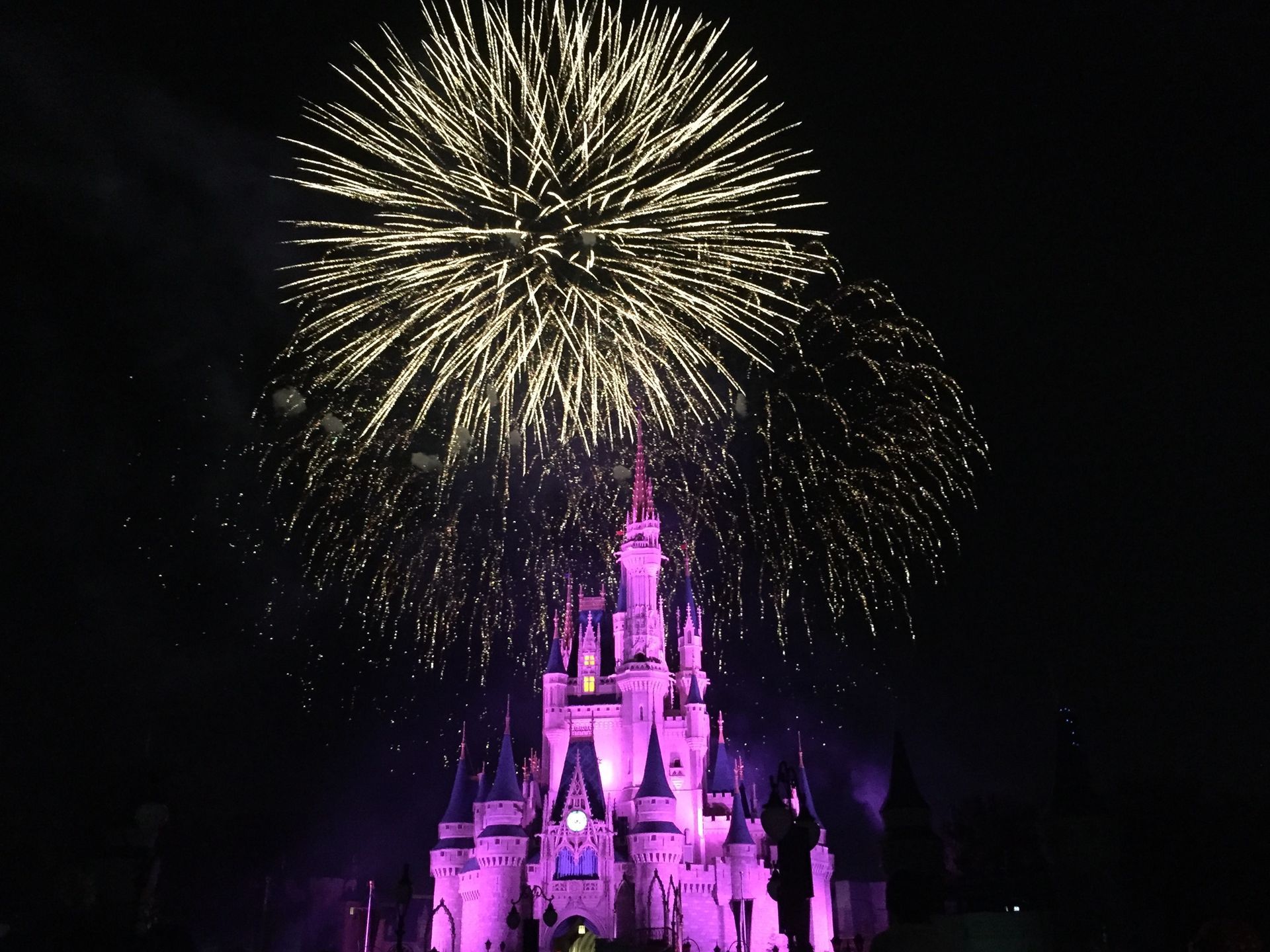 Walt Disney World Magic Kingdom Fireworks