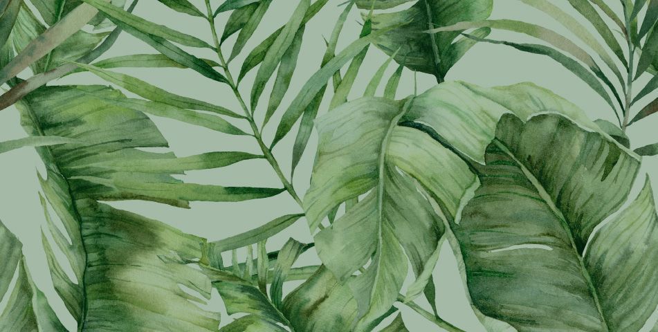 NATURA