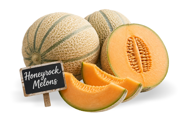 Joe's has the best corn! Honeyrock melons at Joe's!