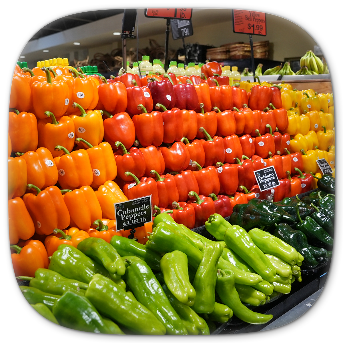 Rows of bell peppers, orange, red, and yellow, with green peppers below at a grocery store.