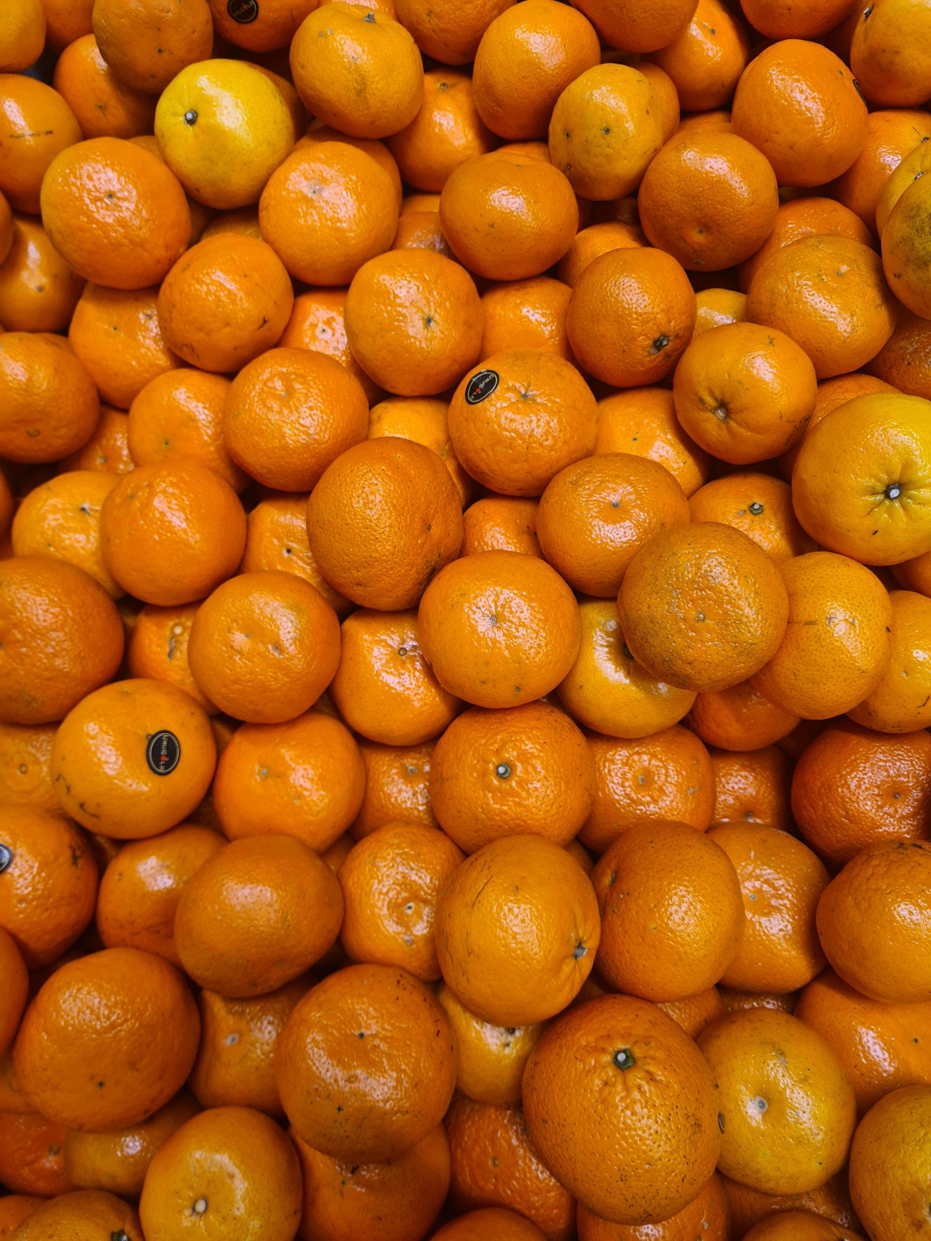 Pile of vibrant orange tangerines.