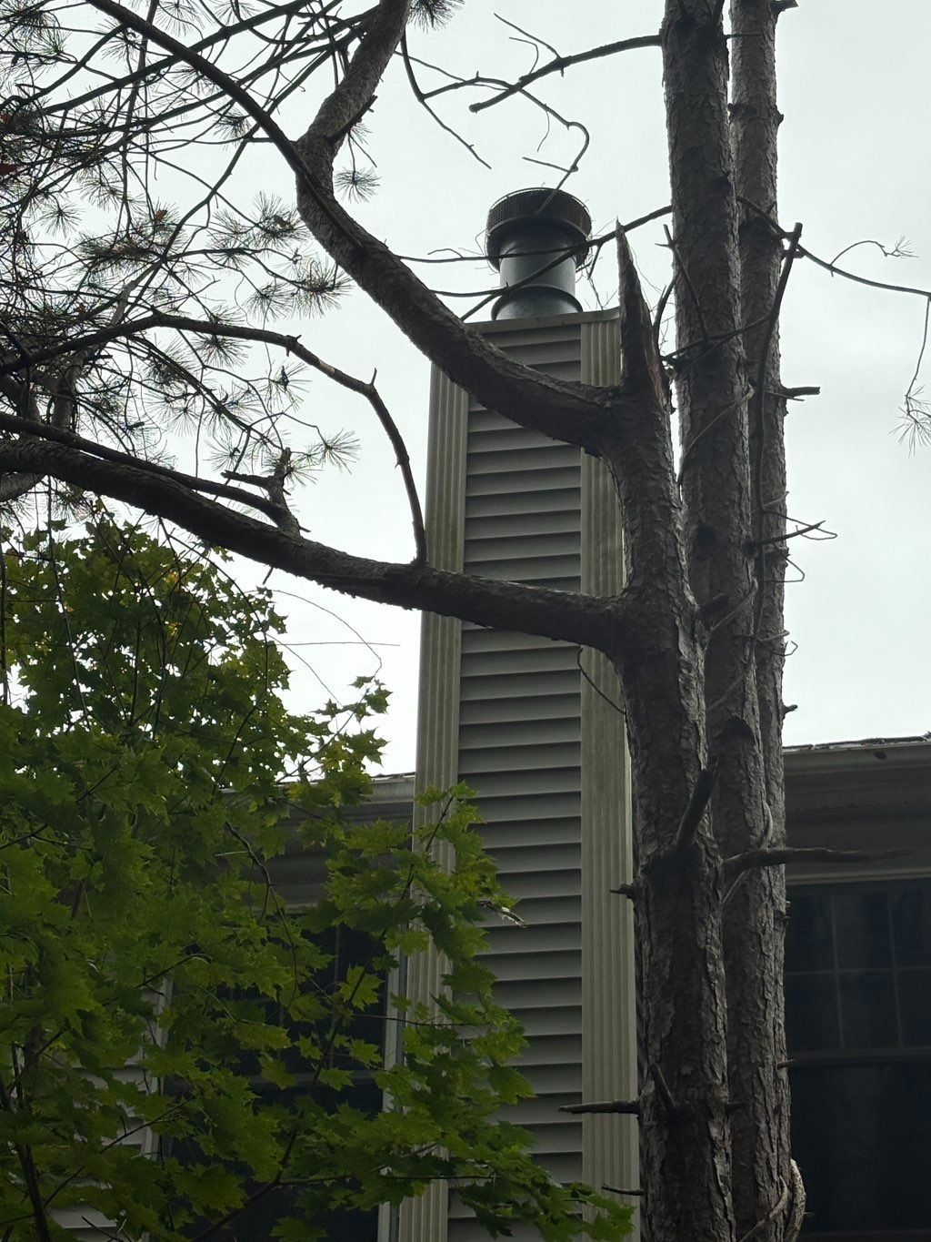 tree removal cost