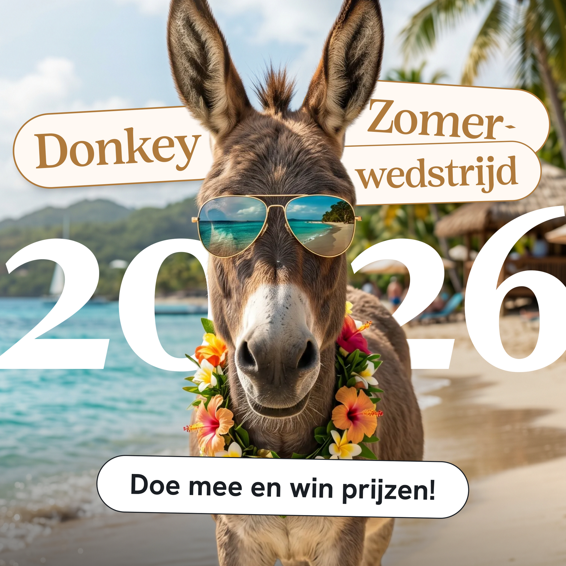 doe mee met de ezelsgroeten zomerwedstrijd