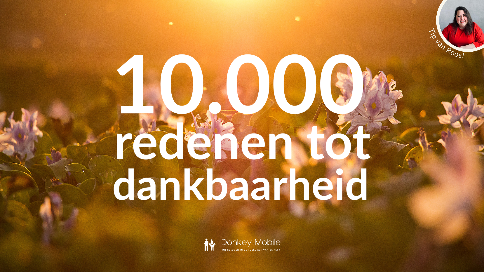 Dankbaarheid