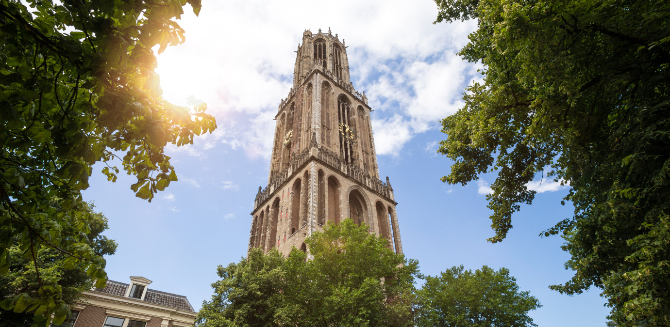 Een grote toren is omgeven door bomen en de zon schijnt door de bomen.