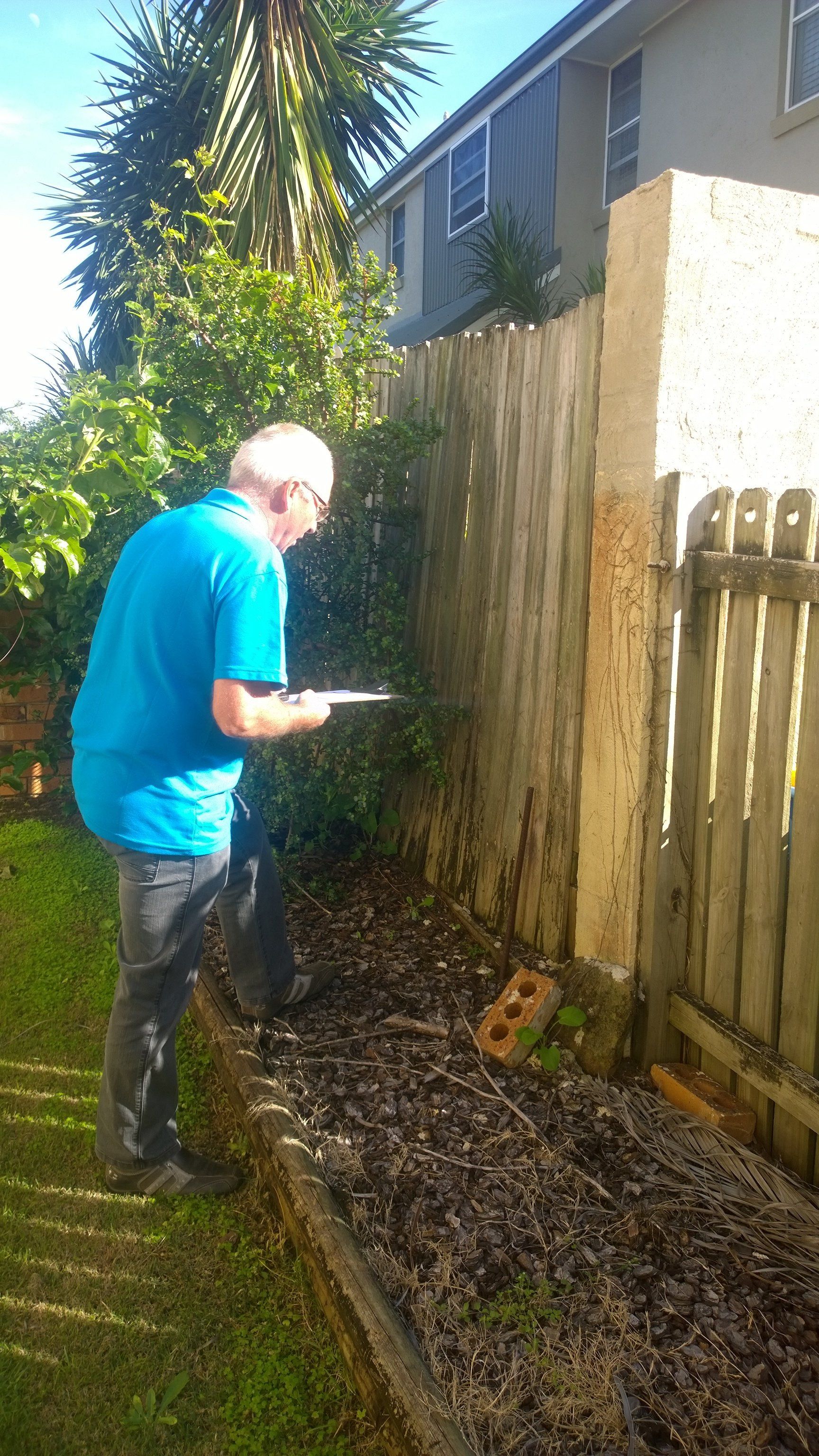 Professional Pest Control — Pre-Purchase Building Inspectors in East Ballina, NSW