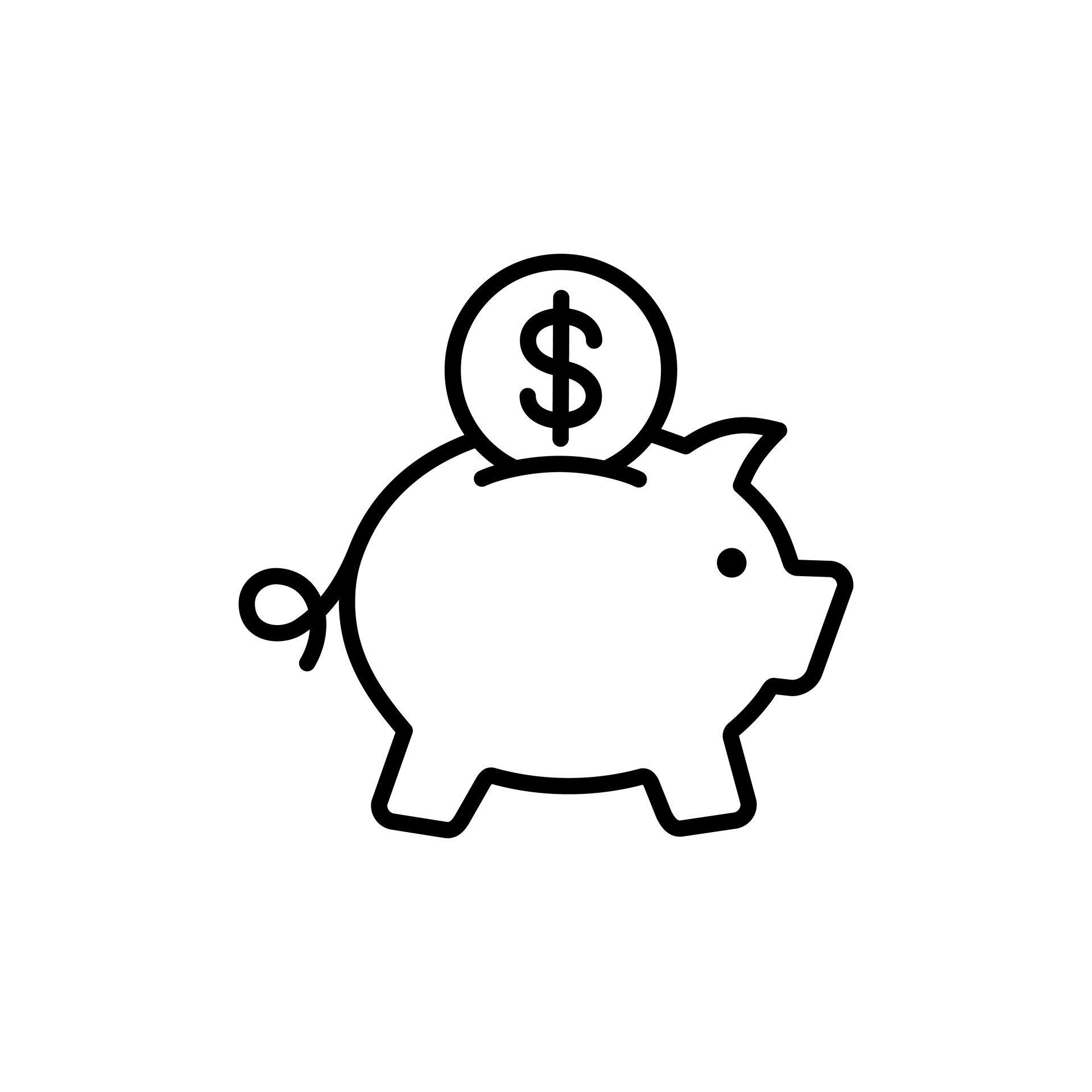 Piggybank Icon — Pre-Purchase Building Inspectors in East Ballina, NSW