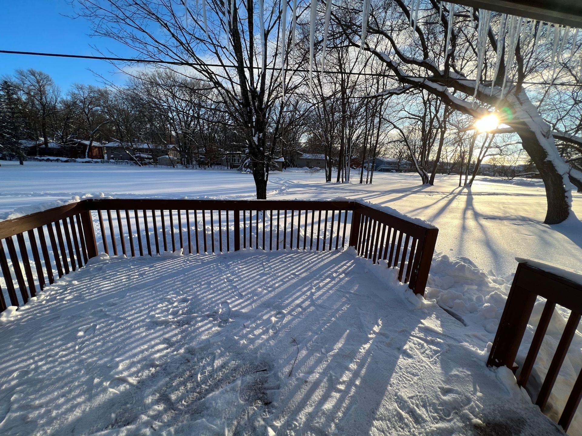 The sun is shining through the trees on a snowy day