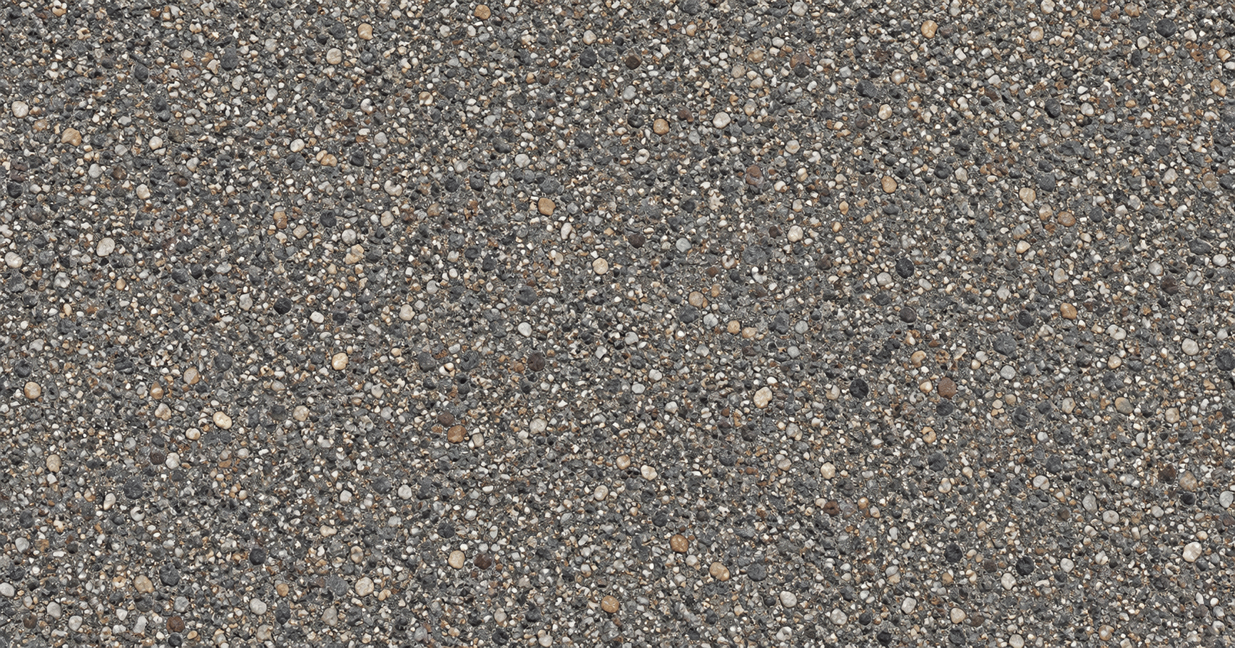 Exposed aggregate concrete walkway in Olympia, WA
