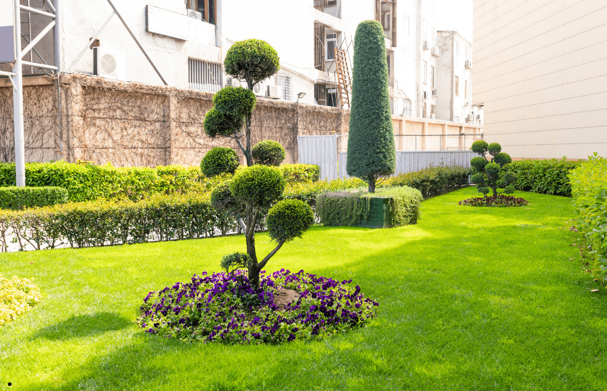 Tree planting Professionals in Tyler Tx