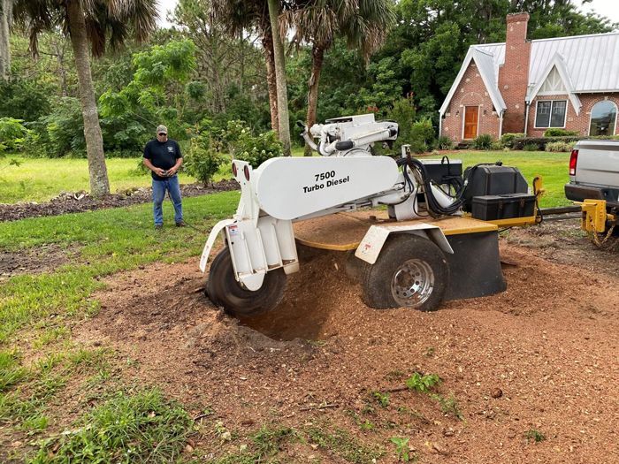 Stump grinder at work. Stump grinder at work.