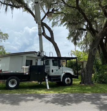 Diversified Tree Service