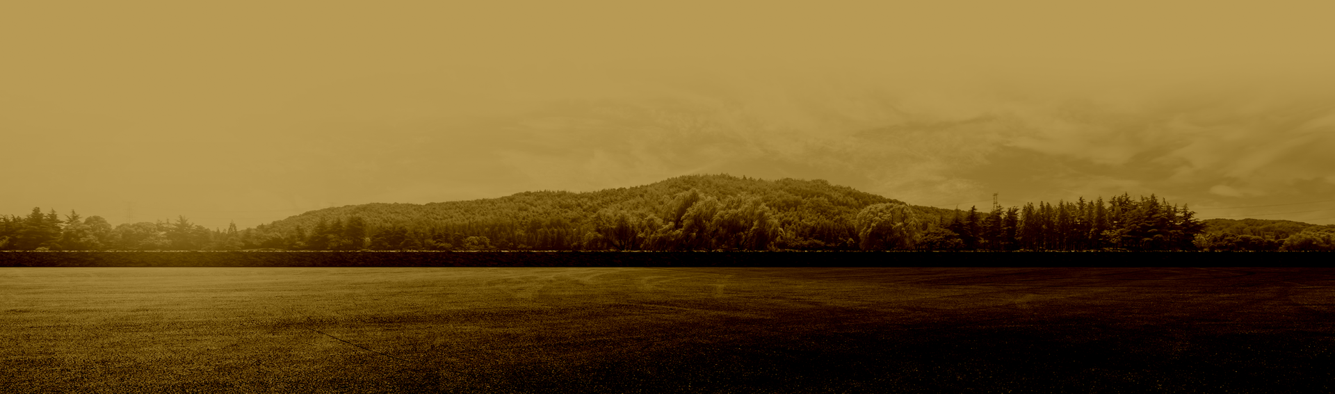 Sepia-toned landscape with a calm lake, distant hills, and a line of trees under a hazy sky