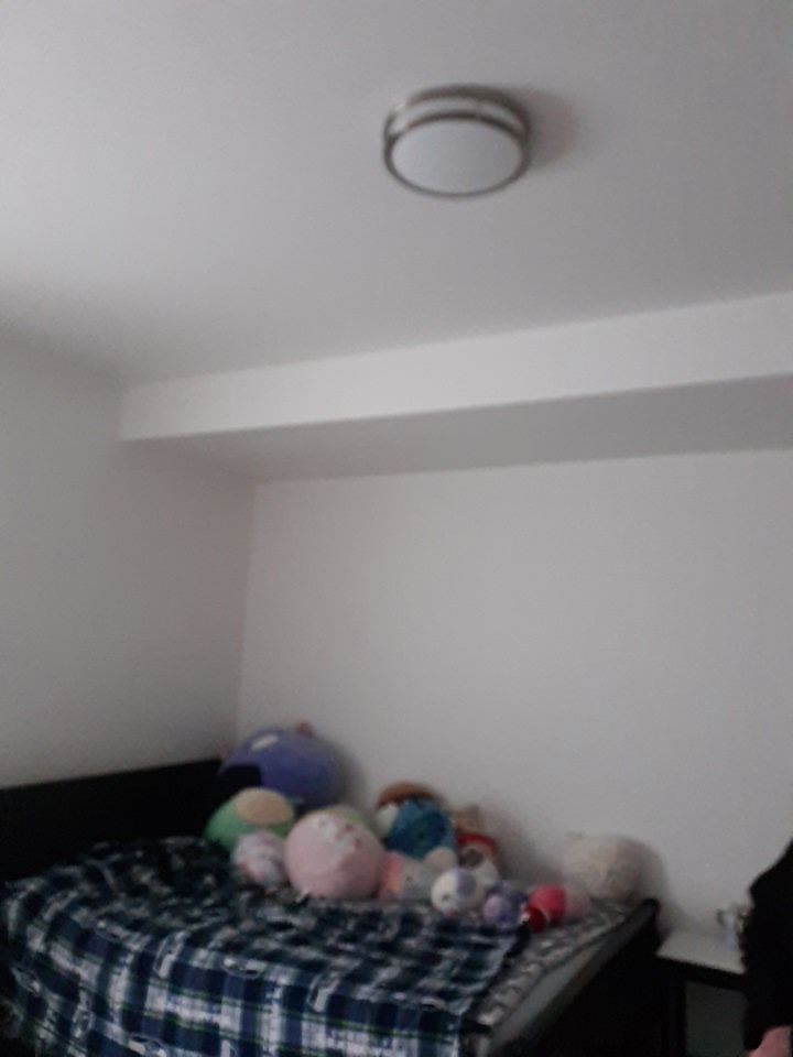 Bedroom interior with bed covered in blue plaid blanket, several stuffed animals, and a ceiling light.