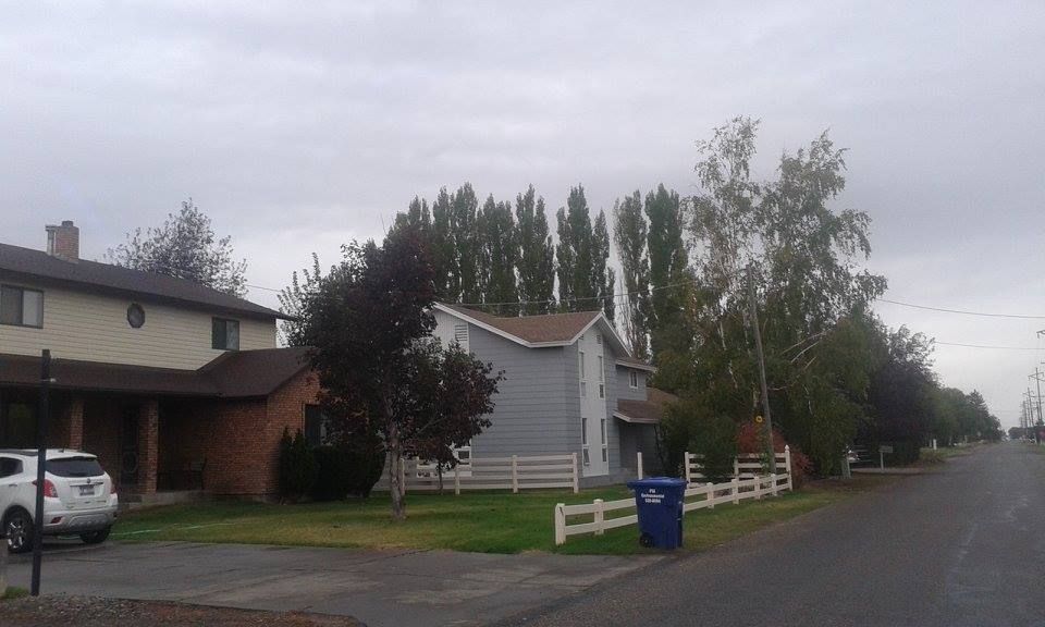 Street with houses, trees, and cloudy sky. Car parked in the driveway.