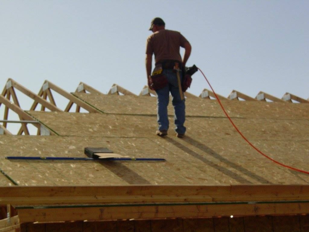 Construction worker on a roof, installing sheathing. Wooden trusses and sky background.