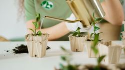 eco-friendly cleaning services in redding ca
