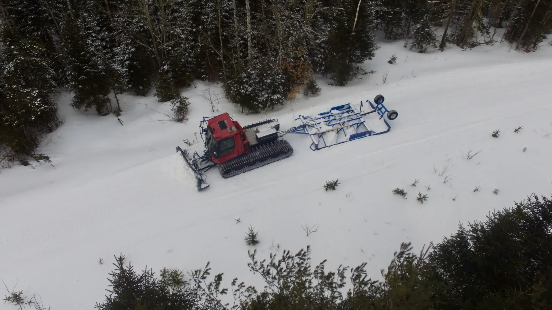 Red snow groomer plowing a snowy slope beside dark trees