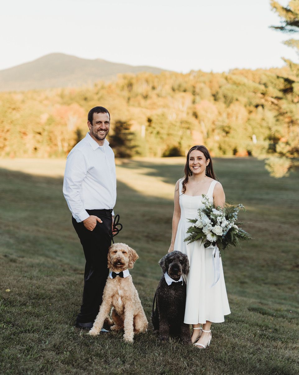 Couple in wedding attire with two dogs standing on a grassy field at sunset.