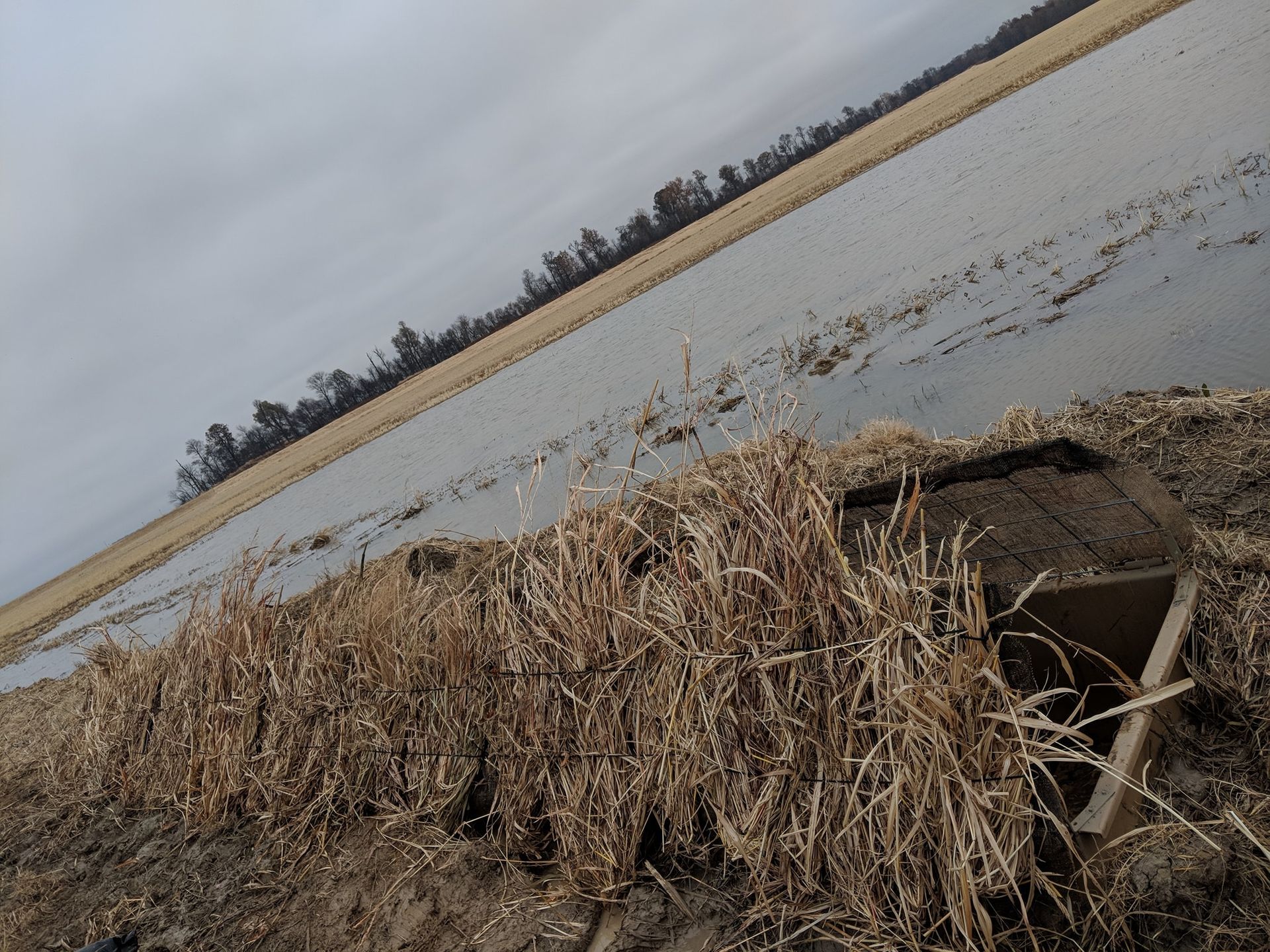 Flooded field with a grassy ditch embankment and cloudy sky at dusk