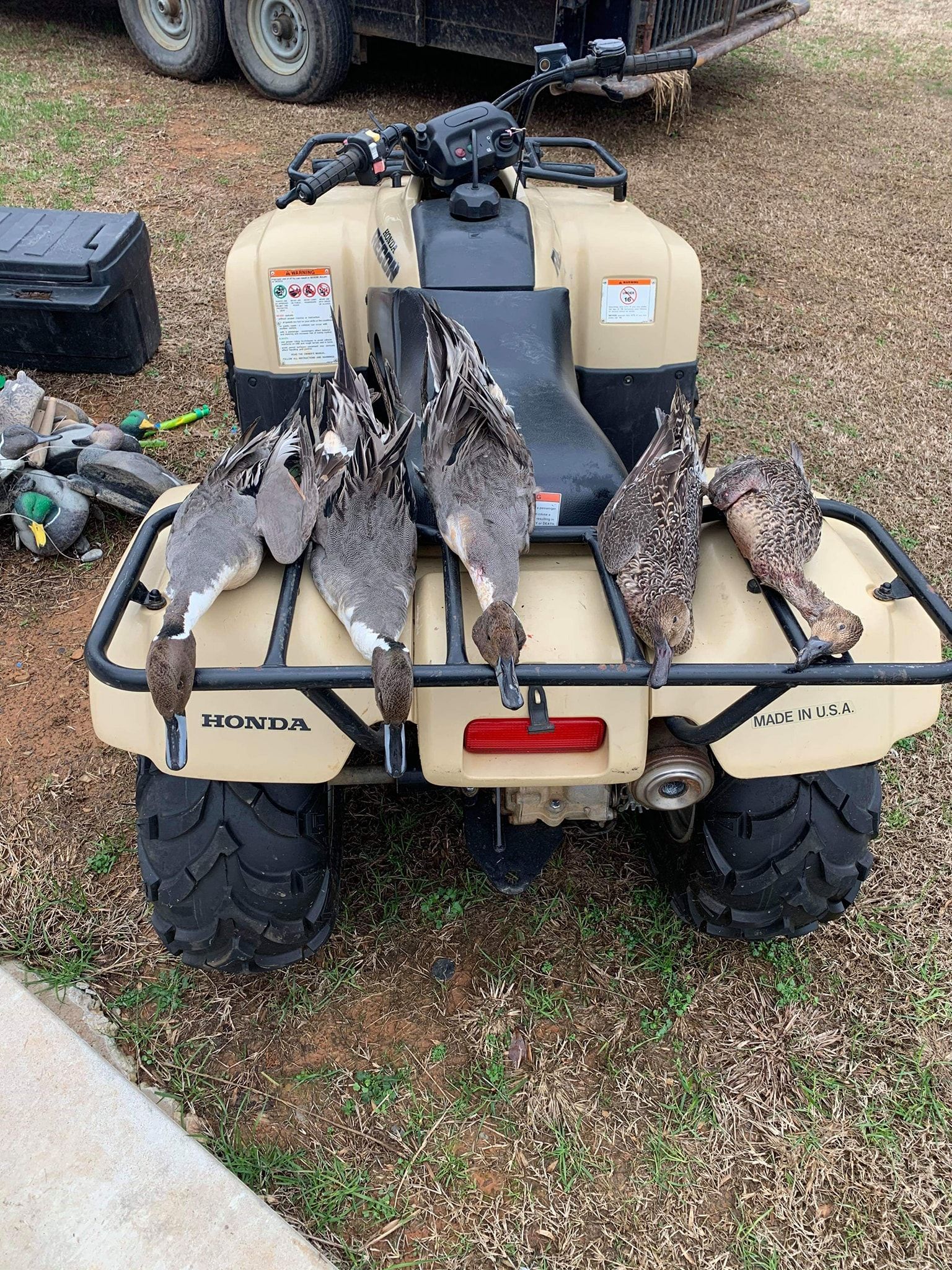 Camouflaged ATV with two dead birds strapped to the rear rack on grass outdoors