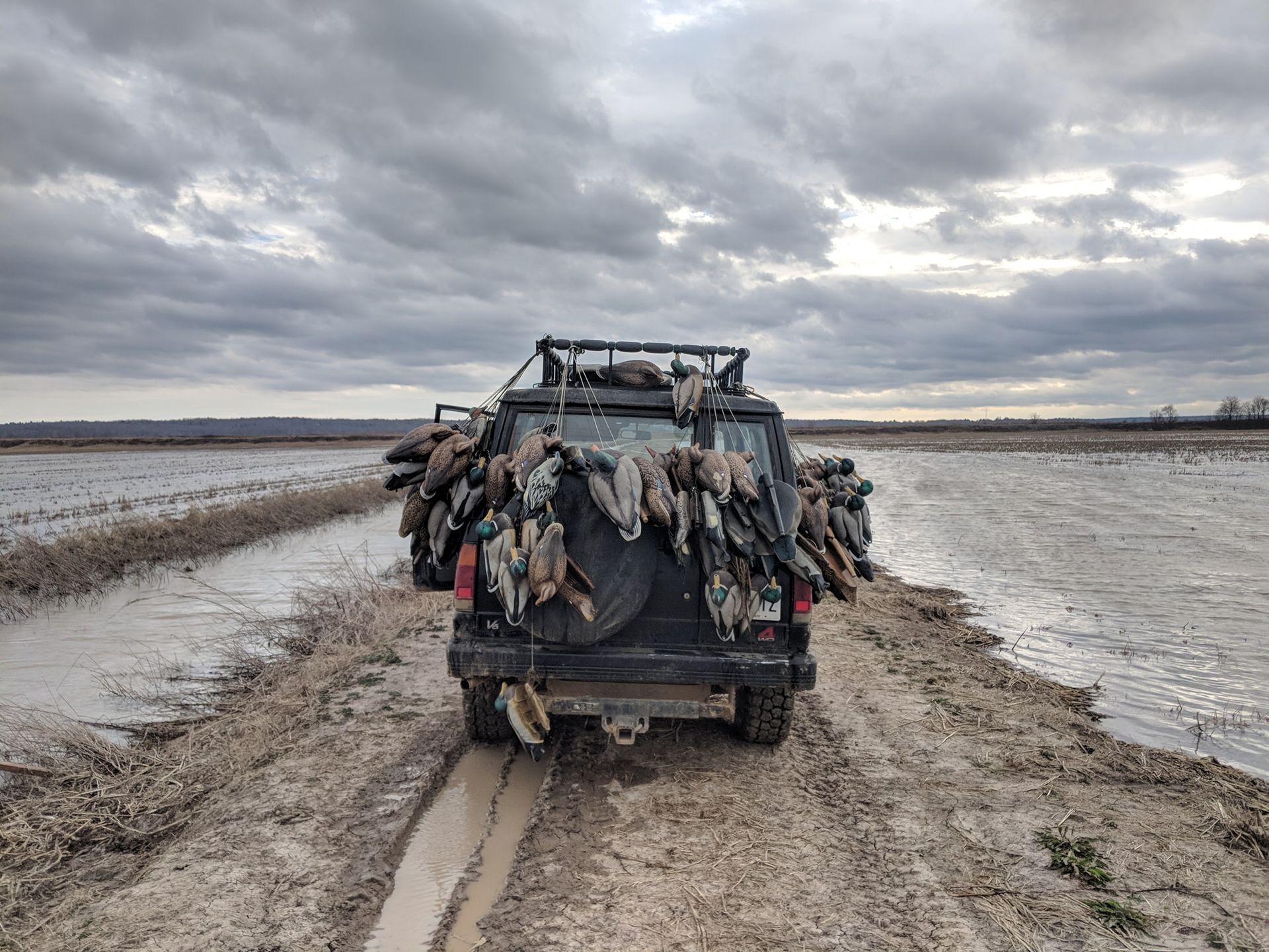 Truck loaded with hanging game on a muddy rural track beside a snowy field under a cloudy sky
