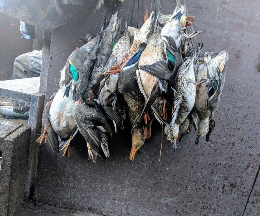 A pile of freshly caught fish hanging on a boat deck, with wet, dark flooring.