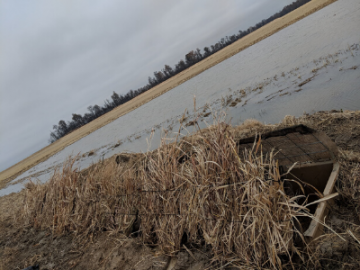 Flooded field with a tilted hay-covered embankment and a distant tree line under a gray sky