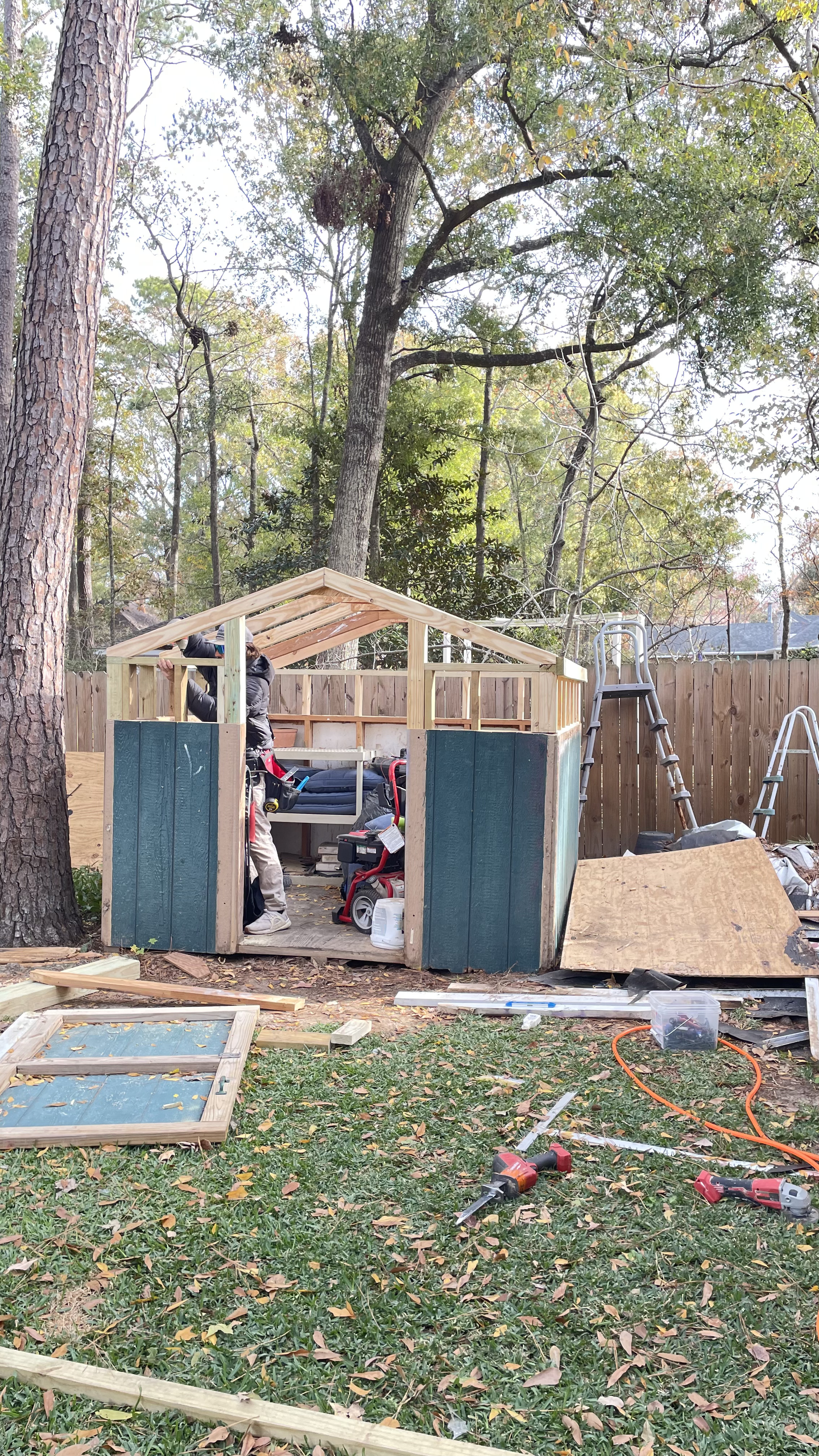 Partially built wooden shed in a backyard with trees and scattered tools and materials