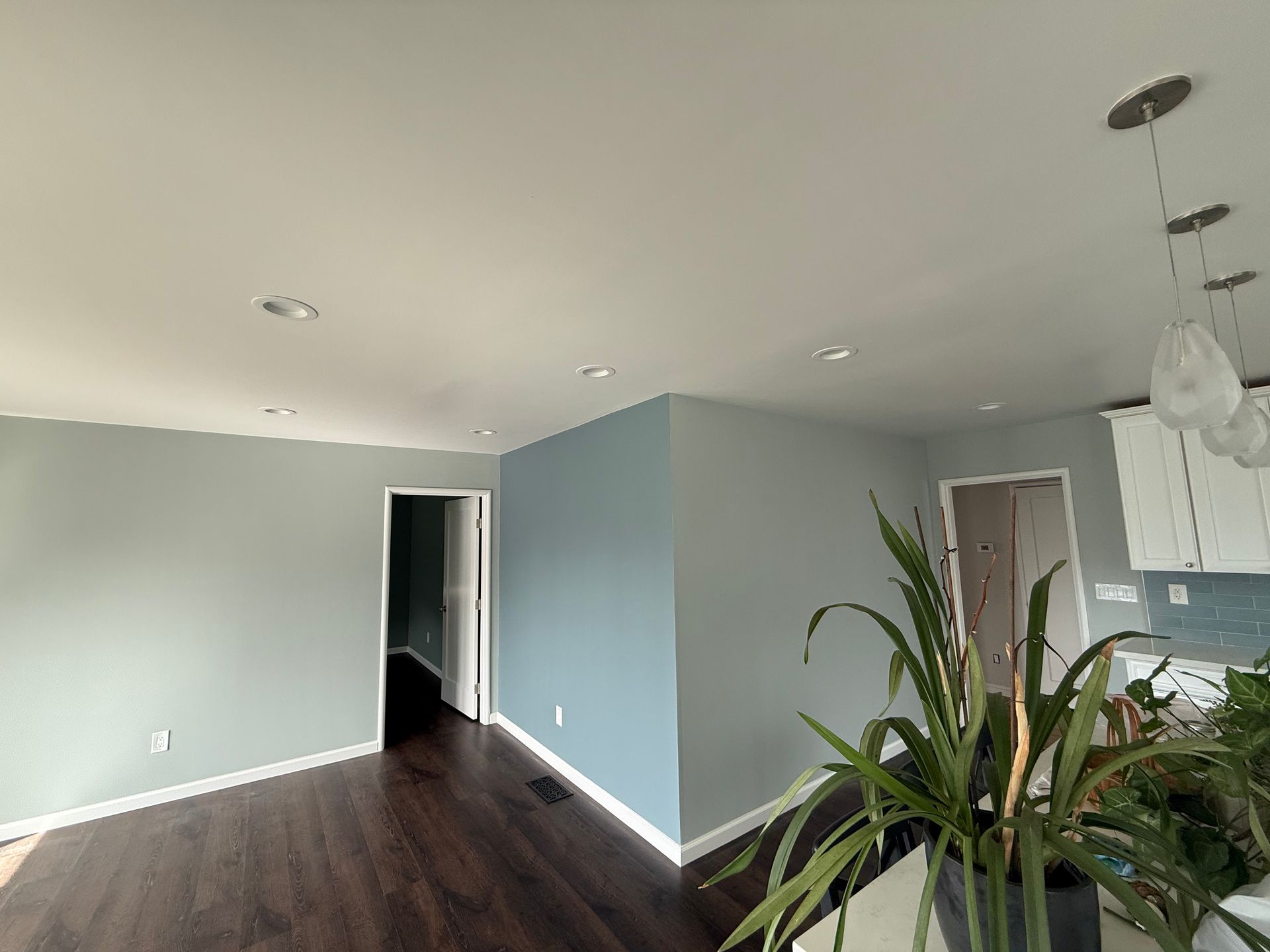 Empty modern apartment living area with light blue walls, dark wood floors, and a potted plant near the kitchen.
