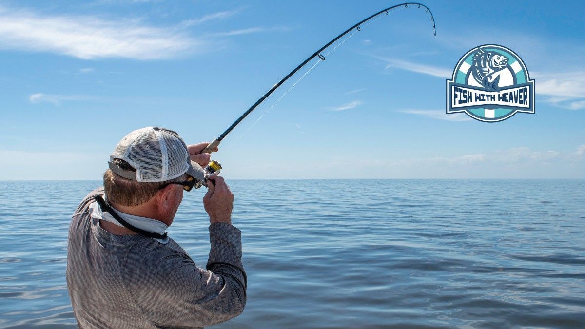 Fish with Weaver fishing charter and guide