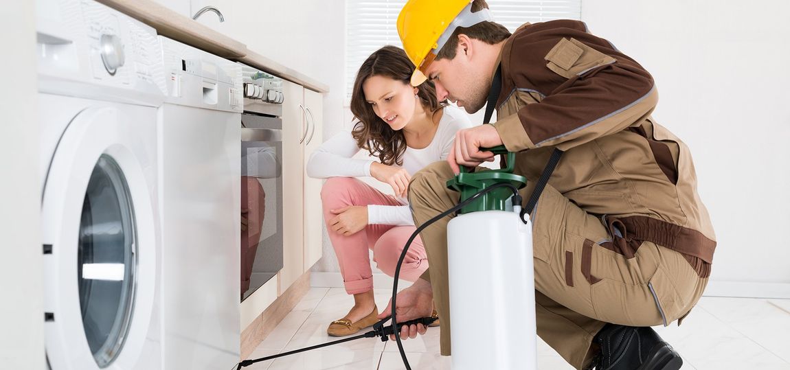Pest control technician showing customer where pests are