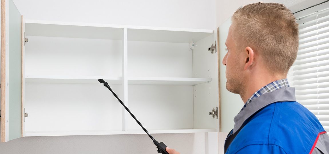 Pest control technician spraying area with chemicals