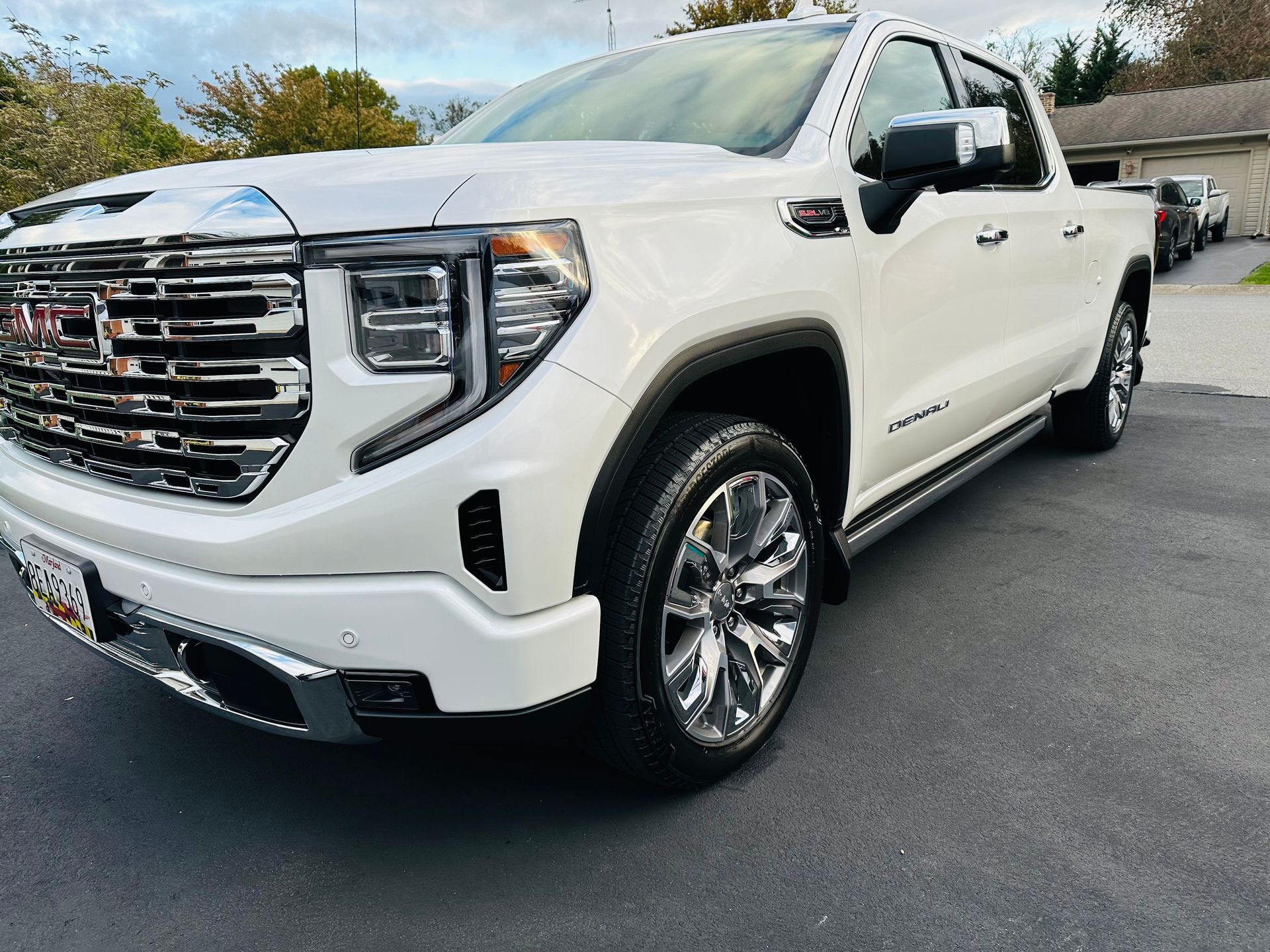 Denali Detail