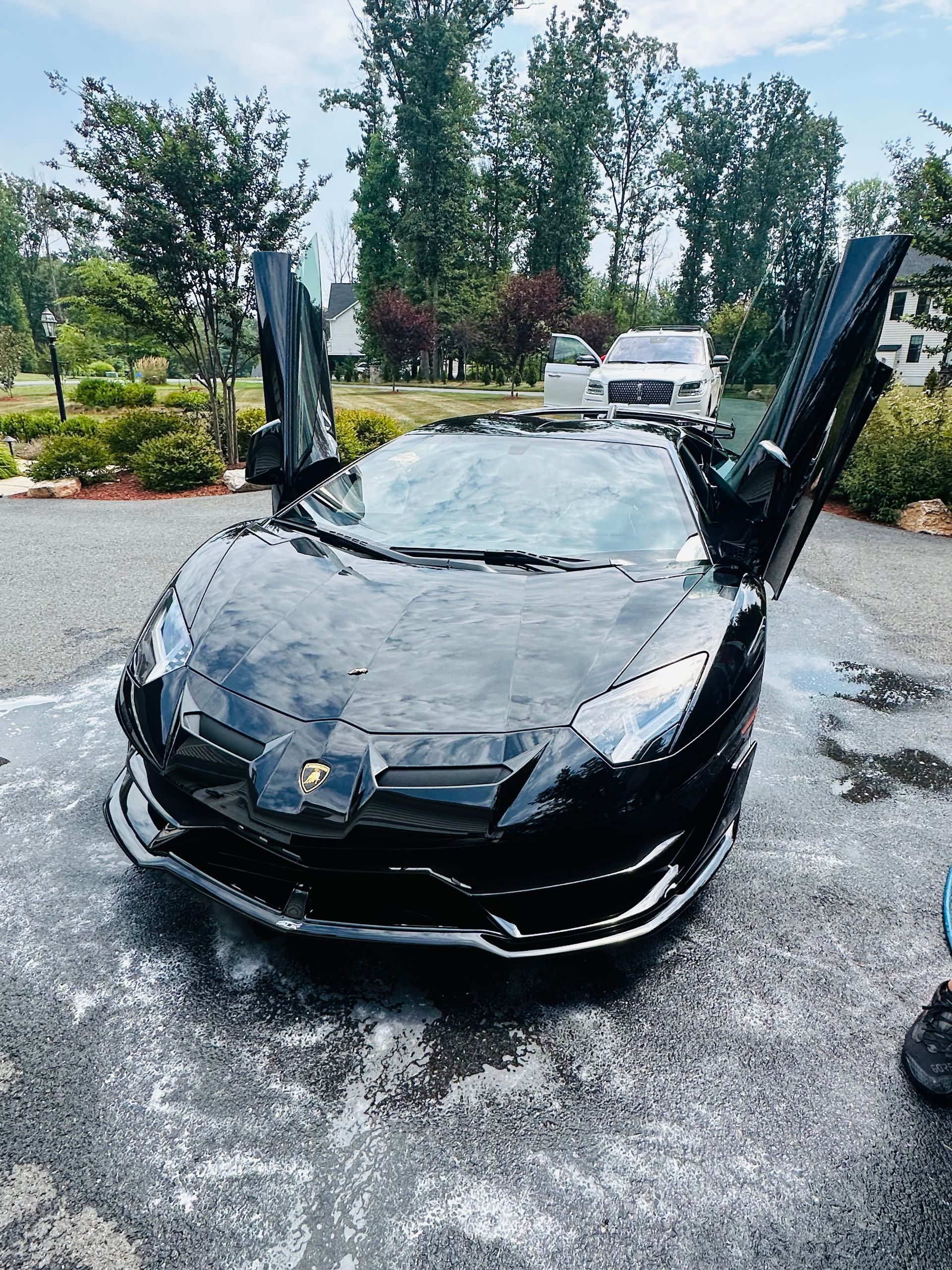 Lambo Detail