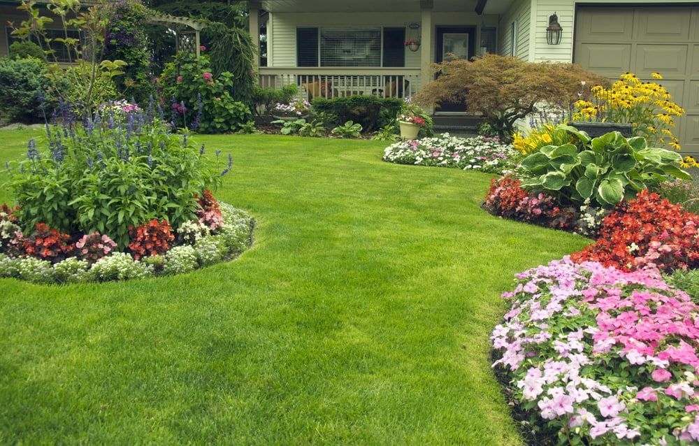 Lush Green Lawn With Colorful Flowerbeds Surrounding a House — Rhino Excavator & Bobcat Hire in Trinity Beach, QLD