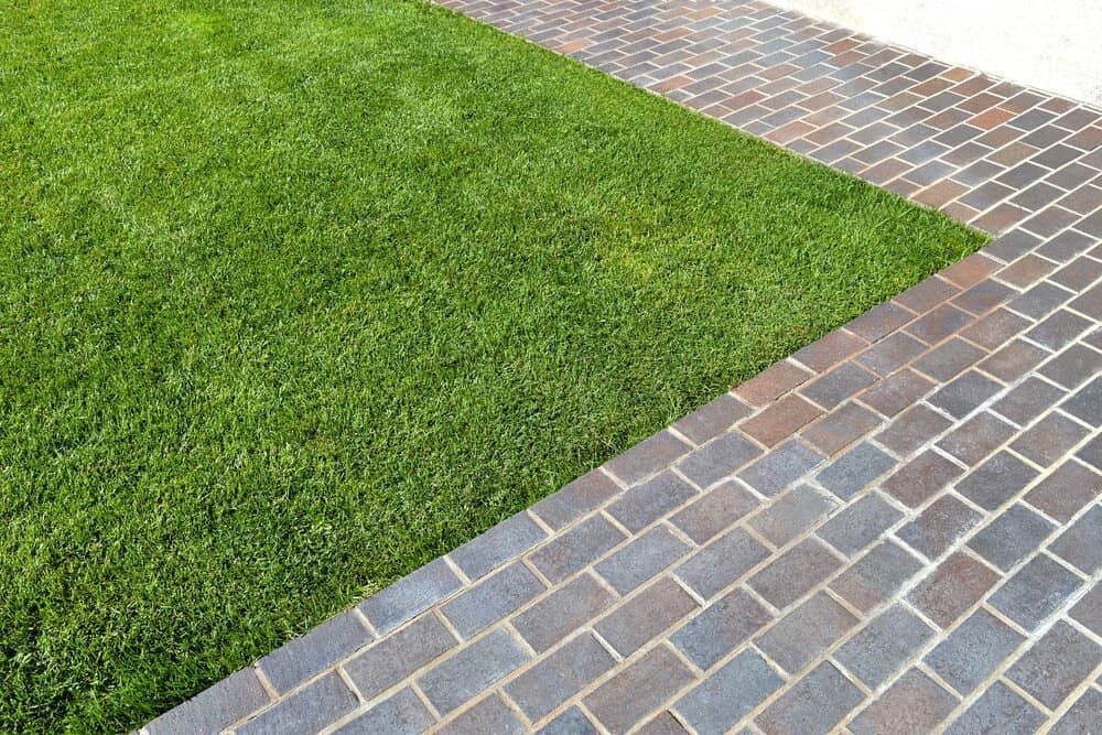 Green Lawn Adjacent to a Brick Paved Pathway — Rhino Excavator & Bobcat Hire in Holloways Beach, QLD