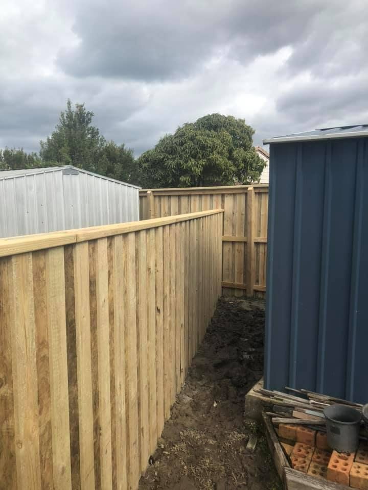 A Wooden Fence Is Surrounding a Blue Shed in A Backyard — D & B Fencing in Wingham, NSW