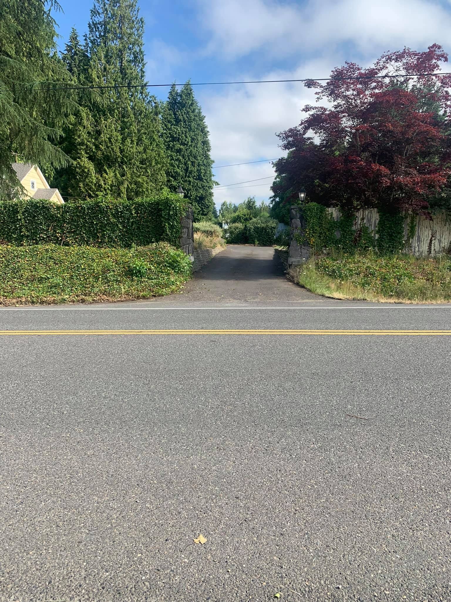 A road with trees on the side of it and a yellow line on the right.