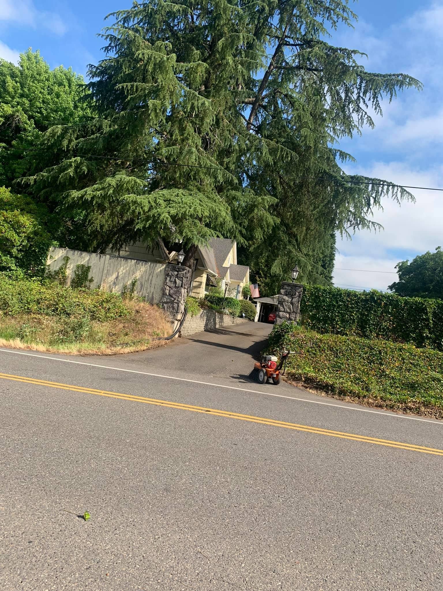 A person is riding a skateboard down a road next to a house.